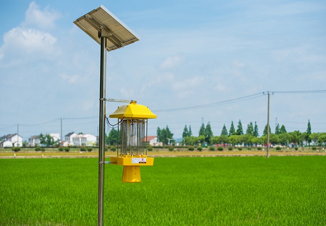 太阳能杀虫灯应用于高标准农田